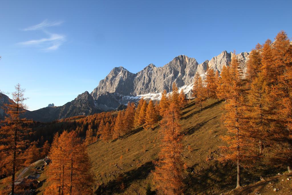 Pichlmayrgut 4* Schladming